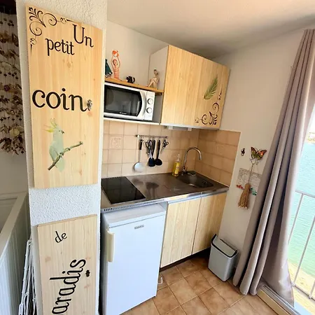Studio Lejlighed Saint-Cyprien (Pyrenees-Orientales)